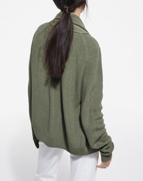 Cardigan Avec Snap Devant lichen