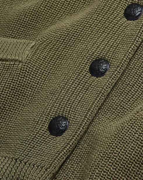 Cardigan Avec Snap Devant lichen