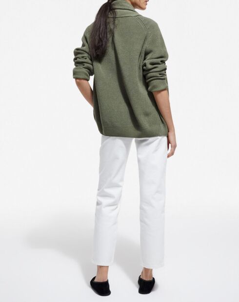 Cardigan Avec Snap Devant lichen