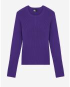Pull col rond manches longues violet