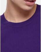 Pull col rond manches longues violet