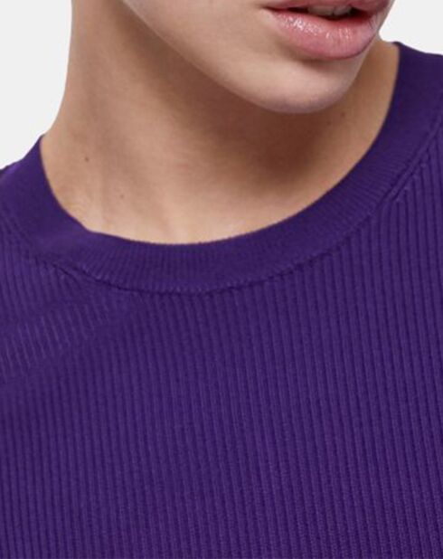 Pull col rond manches longues violet