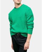 Pull en Laine mélangée manches longues vert