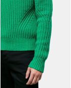 Pull en Laine mélangée manches longues vert