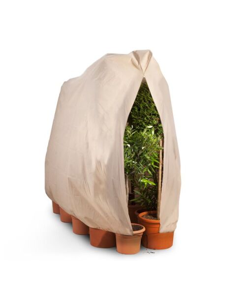 2 Housses d'hivernage pour plantes beiges - 200x240 cm
