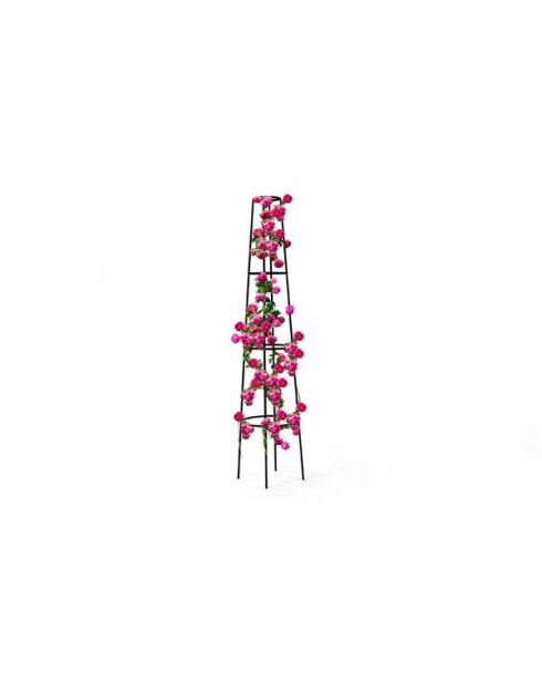 Tuteur rosier vert  -  46x19x200 cm