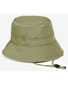 Bob Ais23Uhat001 taillis