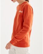 Sweat A l'Extérieur depuis 1853 goji