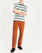 Polo rayé St vert gris