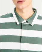 Polo rayé St vert gris