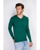 Pull en Cachemire mélangé Maellis vert amazone