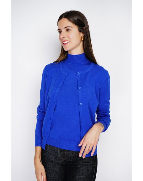 Pull en Cachemire mélangé Sophia col cheminée royal