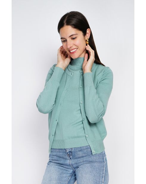 Pull en Cachemire mélangé Sophia col cheminée jade