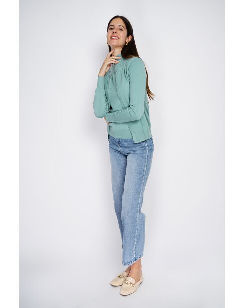 Pull en Cachemire mélangé Sophia col cheminée jade