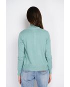 Pull en Cachemire mélangé Sophia col cheminée jade