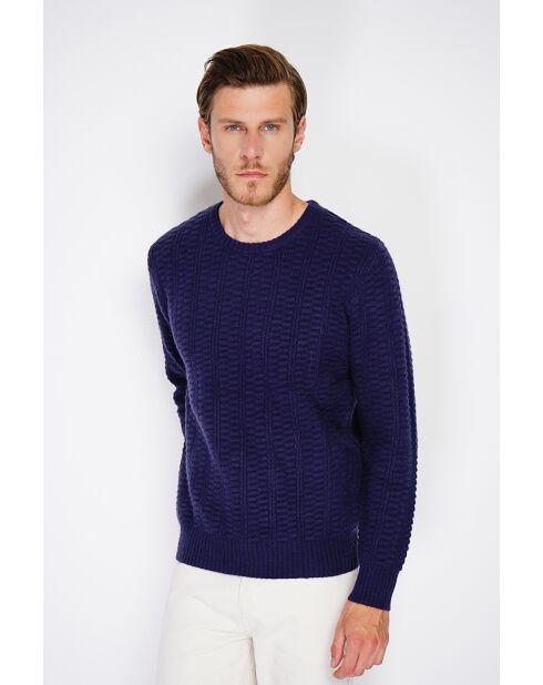 Pull col rond blackberry bleu nuit