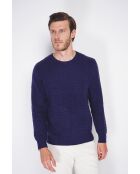 Pull col rond blackberry bleu nuit