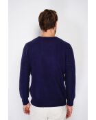 Pull col rond blackberry bleu nuit