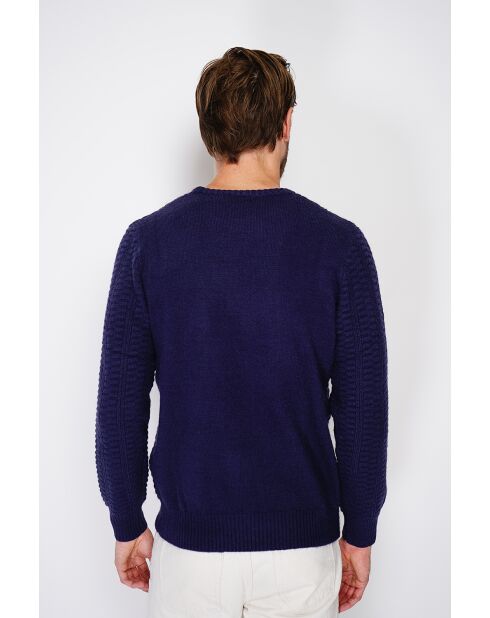 Pull col rond blackberry bleu nuit