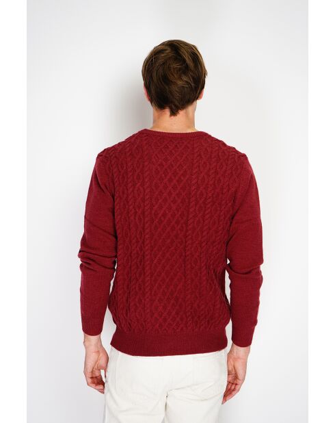 Pull Amandio en Cachemire mélangé bordeaux