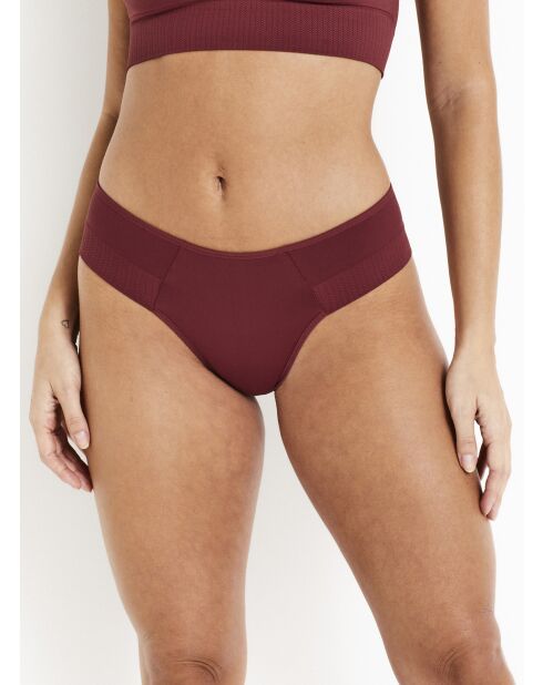 Culotte Charlotte prune