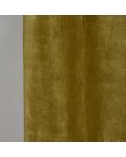 Rideau en Velours Delhi olive - 135x300 cm