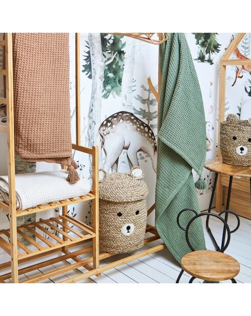 2 cestini in alghe naturali con orso