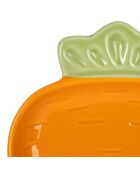 Plat Carotte orange -  12x18cm