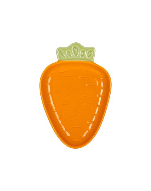 Plat Carotte orange -  12x18cm