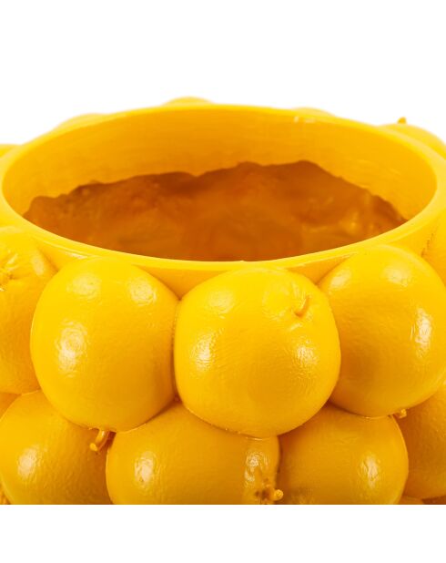 Jarrón con limón amarillo - Ø 21x28 cm