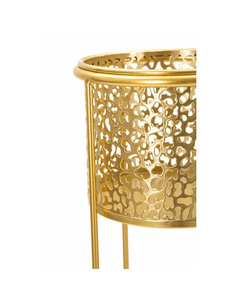 2 soportes para plantas de oro