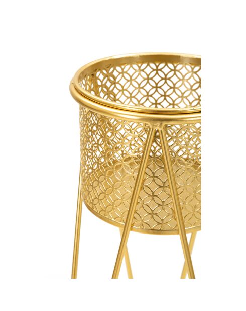 2 soportes para plantas de oro