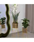 2 Porte-plantes nat dorés