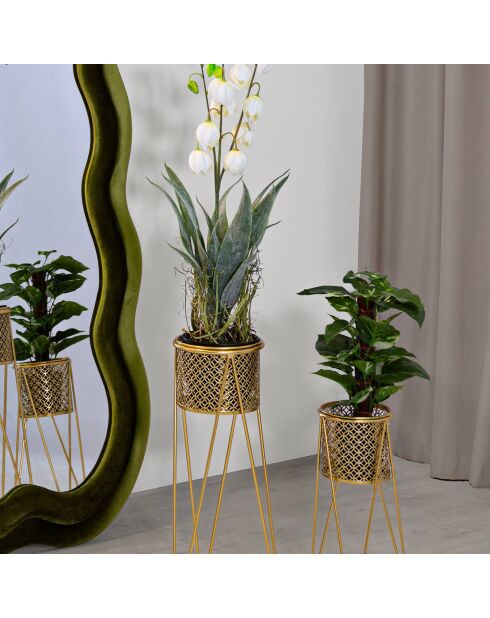 2 soportes para plantas de oro