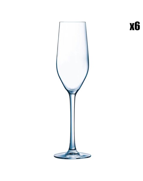 6 Flûtes Sens   Kwarx - 16cl