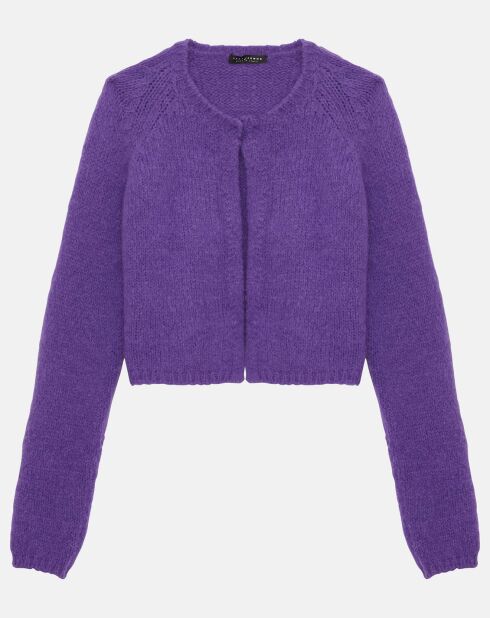 Gilet en Mohair mélangé Glory violet