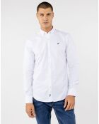 Chemise Oxford blanche