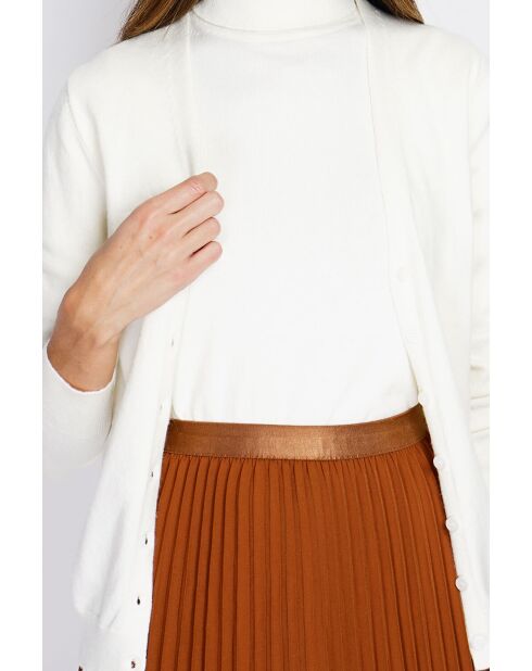 Twin-set en Cachemire & Soie mélangés col V classique 2 fils naturel