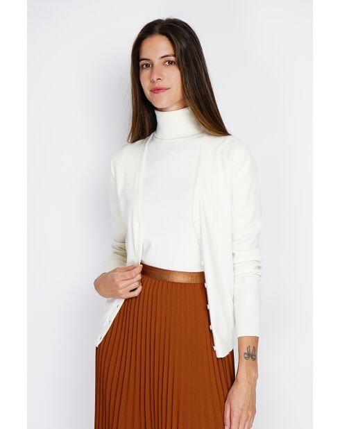 Twin-set en Cachemire & Soie mélangés col V classique 2 fils naturel