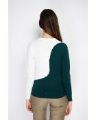 Pull en Cachemire mélangé col ras du cou en bi-couleur vert amazone