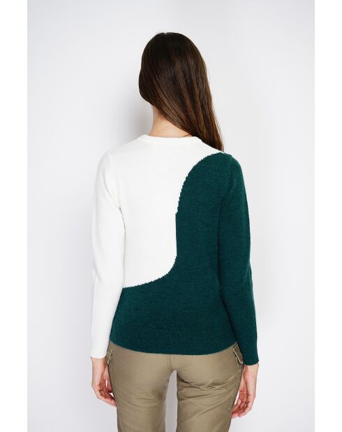 Pull en Cachemire mélangé col ras du cou en bi-couleur vert amazone