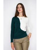 Pull en Cachemire mélangé col ras du cou en bi-couleur vert amazone