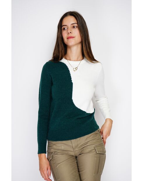 Pull en Cachemire mélangé col ras du cou en bi-couleur vert amazone
