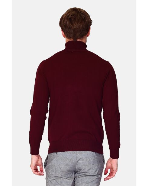 Pull en Cachemire mélangé col roulé bordeaux