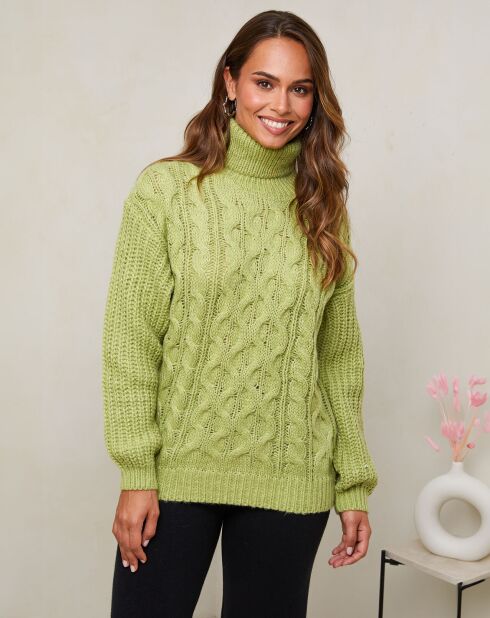 Pull Victoria vert