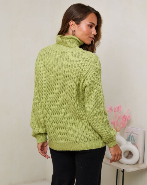 Pull Victoria vert