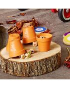 C'est des salades, jeu de bluff Jour de récolte - 6 ans et +