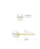 Boucles d'Oreilles en Or Jaune Perles de Culture d'Eau Douce Rondes blanches