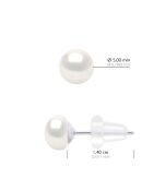 Boucles d'Oreilles en Or Blanc & Perles de Culture d'Eau Douce Boutons blanches 5-6 mm
