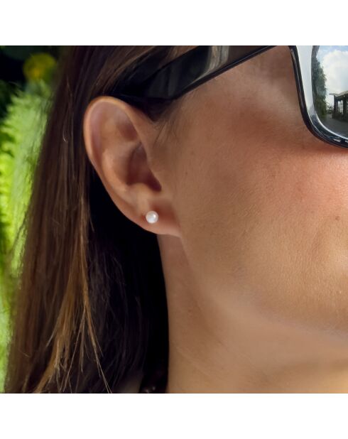 Boucles d'Oreilles en Or Blanc & Perles de Culture d'Eau Douce Boutons blanches 5-6 mm